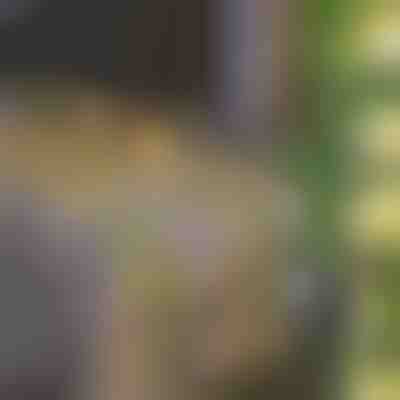 Solarne pravljične luči z umetnimi listi bršljana (5 m) | LEAFGLO