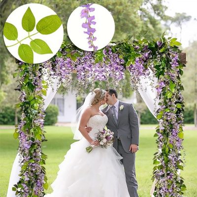 Plezalka s cvetovi glicinije | WISBLOOM