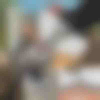 Posebno orodje za brušenje motorne žage + brusilnik GRINNEX