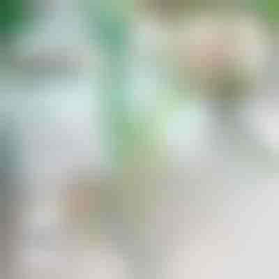 Opora za rastline | ROOTZI