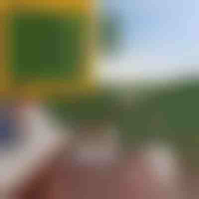 Panel za zasebnost z umetnimi listi | LEAFPANEL