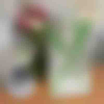 Elegantna vaza v obliki knjige za rože | FLOWERFRAME