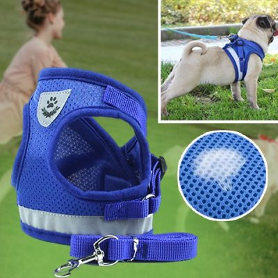 Nastavljiv odsevni pas za hišne ljubljenčke in povodec | LEASHNGO