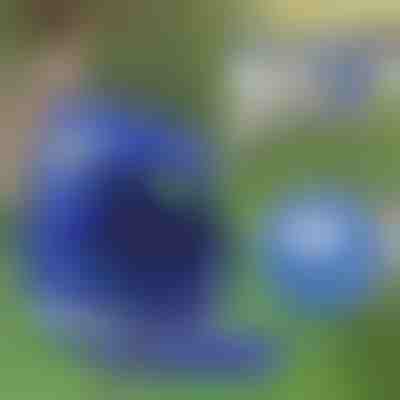 Nastavljiv odsevni pas za hišne ljubljenčke in povodec | LEASHNGO