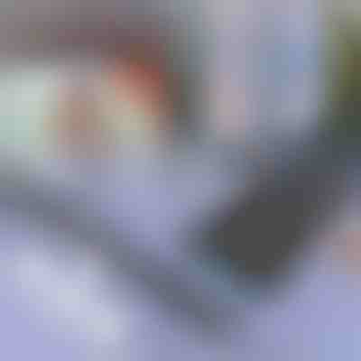 Sončni ščitnik za avto in okno | SUNGUARD