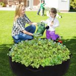 PLANTIE