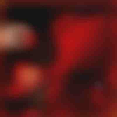 Darilo, ki izraža ljubezen | LOVEBEAR