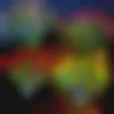 Solarne cvetlične luči | ROSILUME