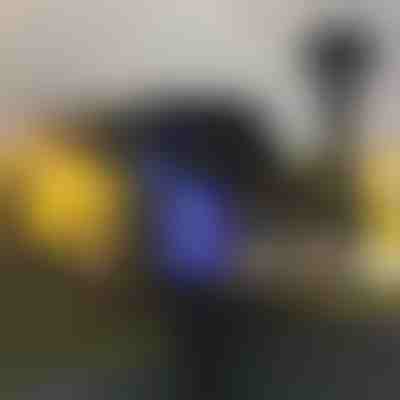 Zunanja svetilka proti komarjem (2 kosa) | SOLARBUZZ