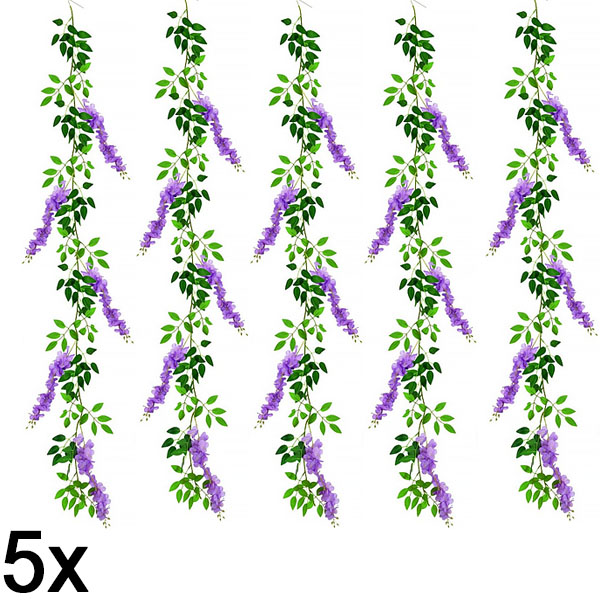 5x Plezalka s cvetovi glicinije | WISBLOOM
