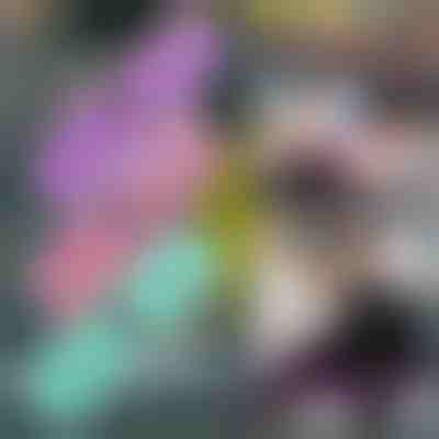 Trakovi za vadbo (komplet 3) | FITSTRAPS