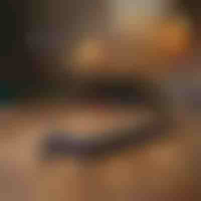 Vrtljiv natančni rezalni nož | CRAFTBLADE