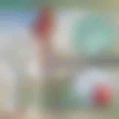 Teleskopski kovinski kavelj za čoln | FASTDOCK